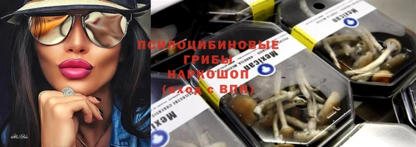 a pvp Елабуга