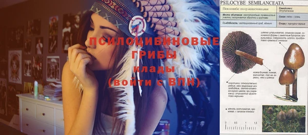 тгк Елизово