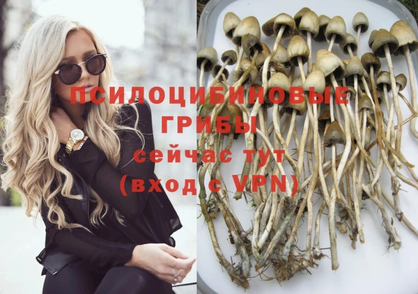 тгк Елизово