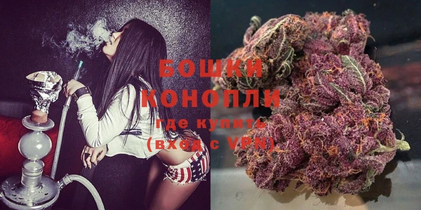 тгк Елизово
